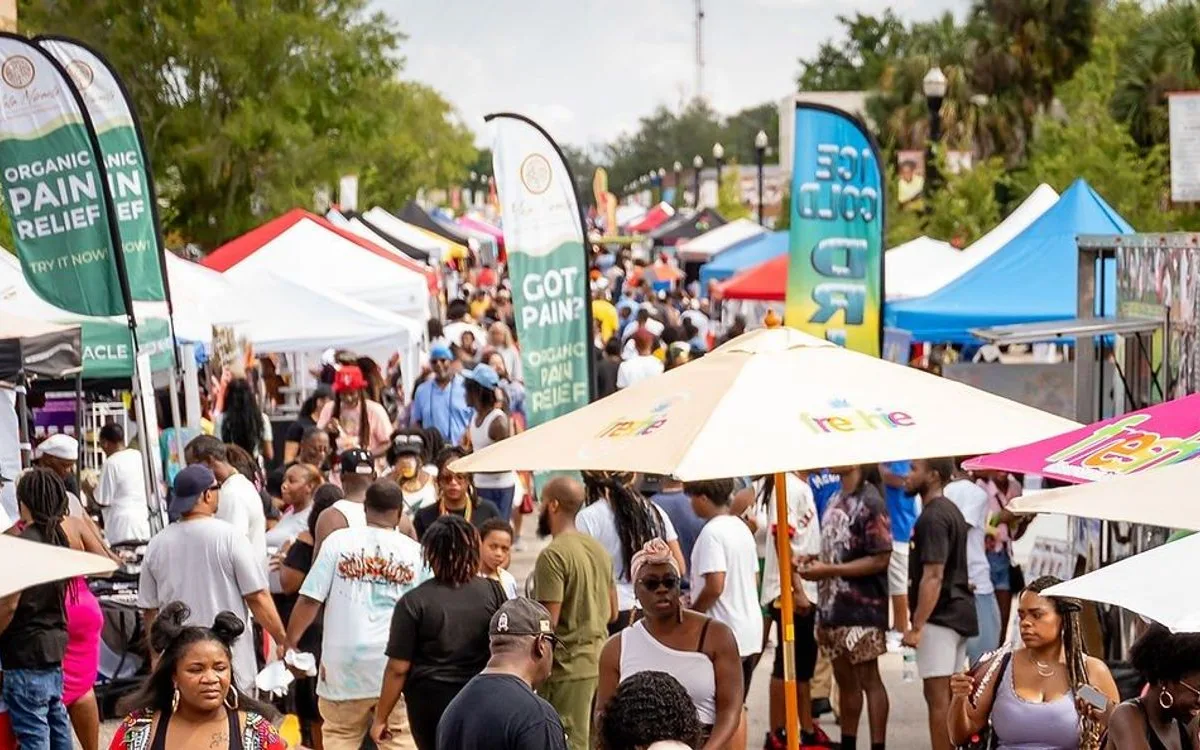 Jax Melanin Market :