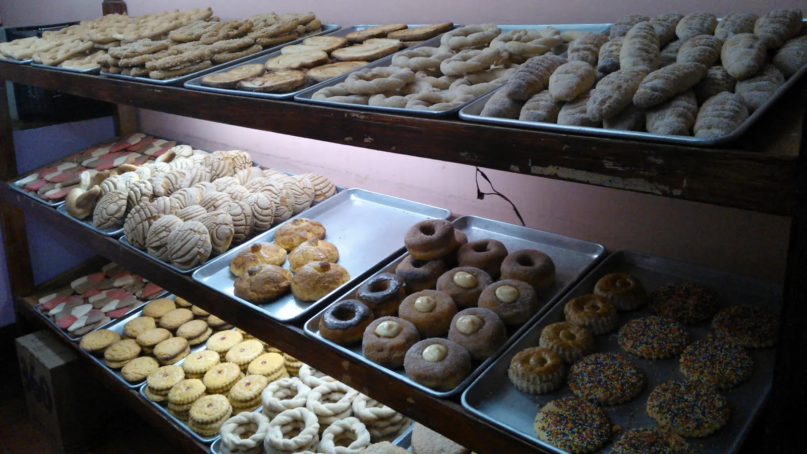 Shelves of pan dulce, including conchas, in a Mexican bakery